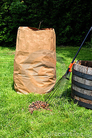 Leaf Pickup